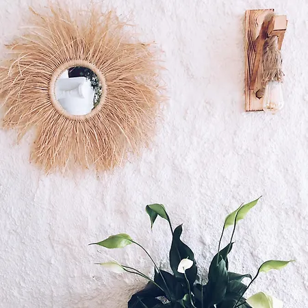 Conny's (adults Only) 2* Side