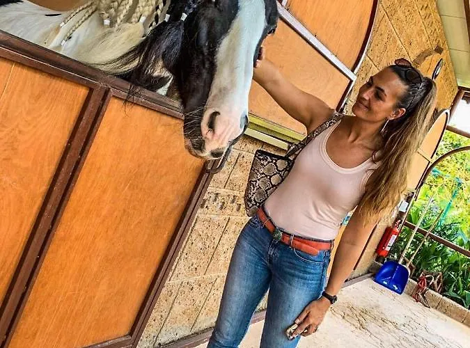 Conny's (adults Only) 시데