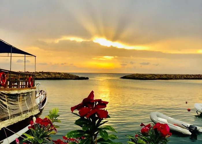 Conny's (adults Only) 시데