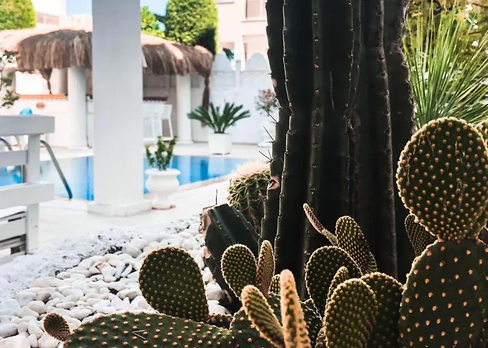 Conny's (adults Only) Hotel