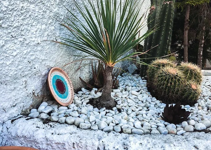 Conny's (adults Only) 호텔 시데