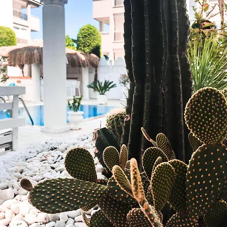 Conny's (adults Only) فندق