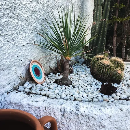 Conny's (adults Only) Hotel Sidé